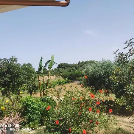 Apartment Vacanze Baglio Sances